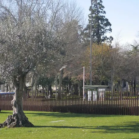 Center Clean & Cozy 3 Διαμέρισμα