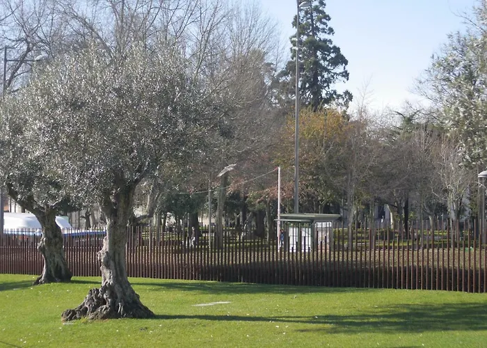 Center Clean & Cozy 3 شقة